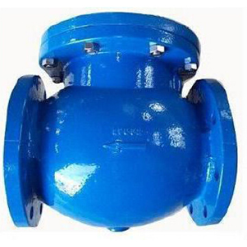 Swing flange end check valve